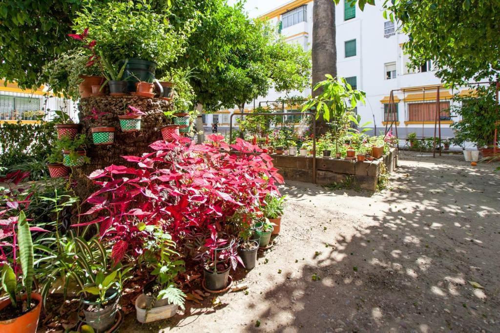 Apartamento A Los Pies Del Alcazar 세비야 외부 사진